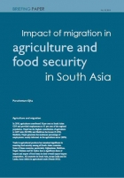 Impact of migration in agriculture and food security in South Asia